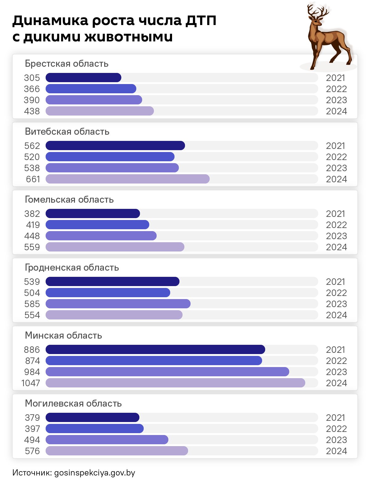 ДТП с дикими животными: названы самые опасные области Беларуси