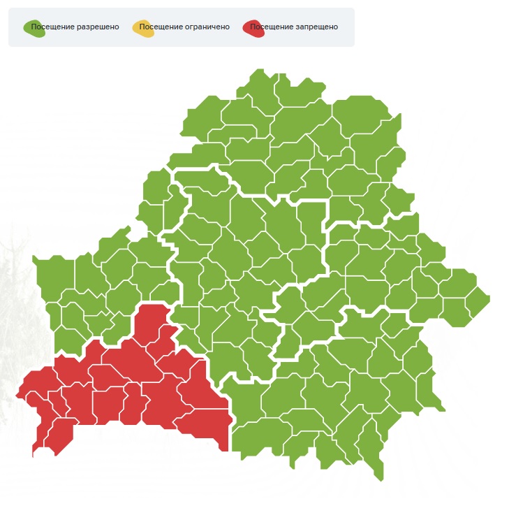 Во всех районах Брестской области введен запрет на посещение лесов