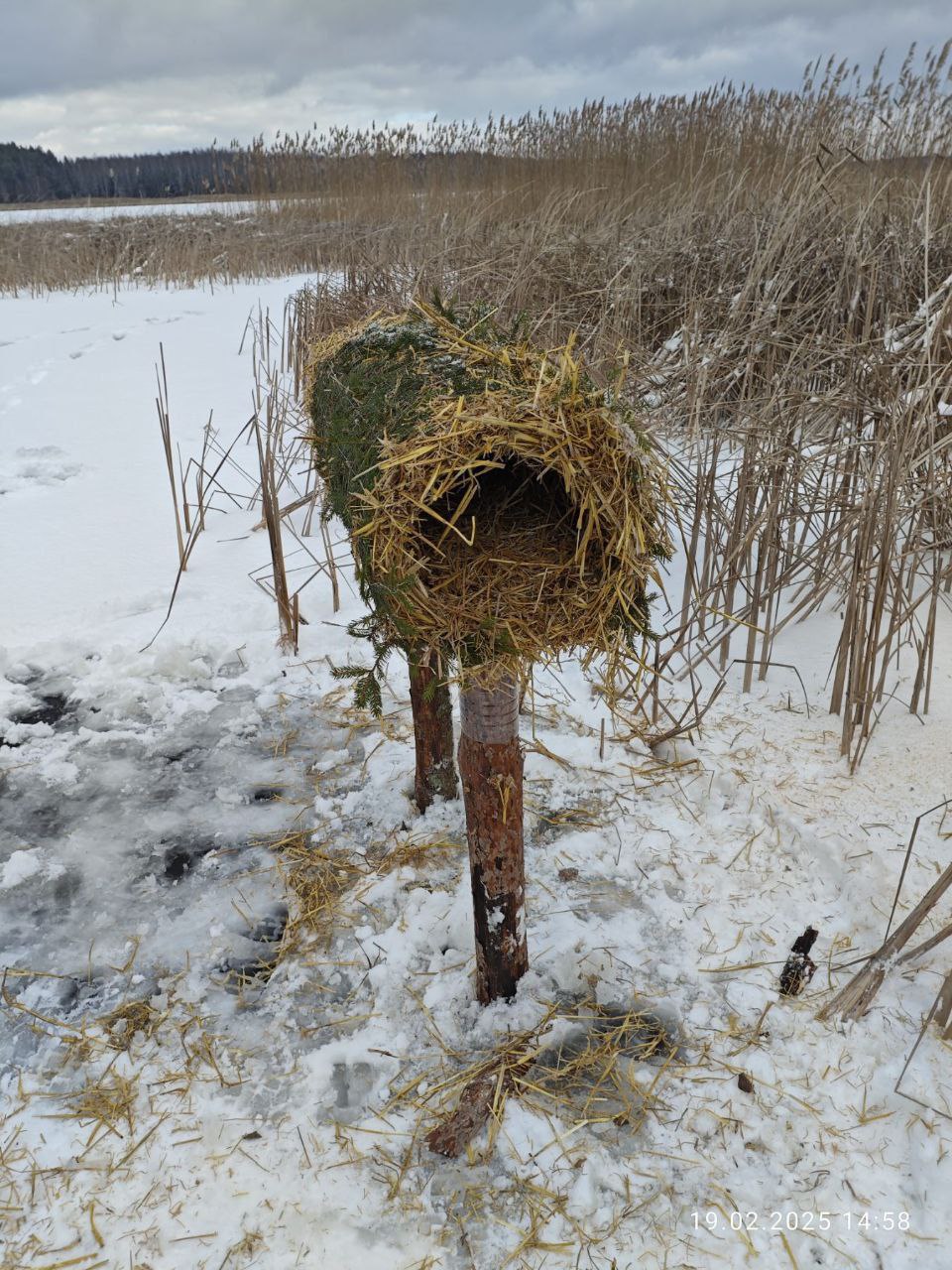 В Брестской области установили необычные конструкции. Вот что это
