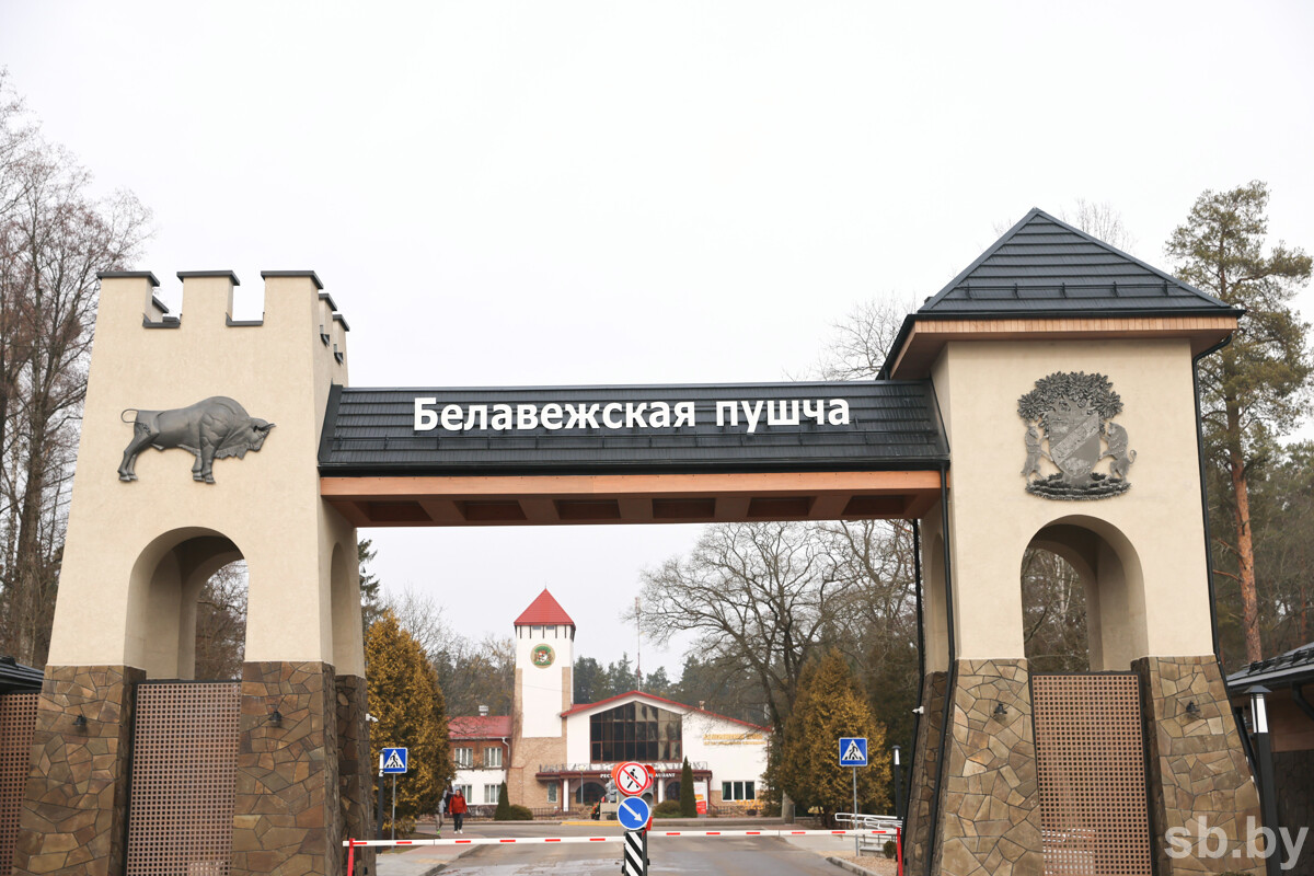 Беловежскую пущу можно посетить бесплатно, но есть условие