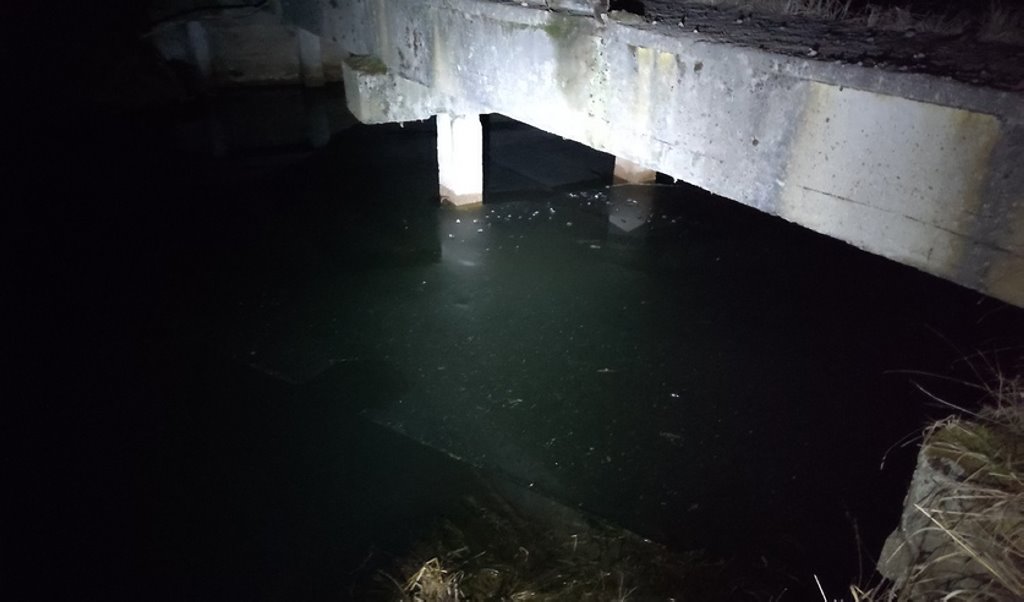 Трагедия в Лунинецком районе: поездка на природу обернулась трагедией