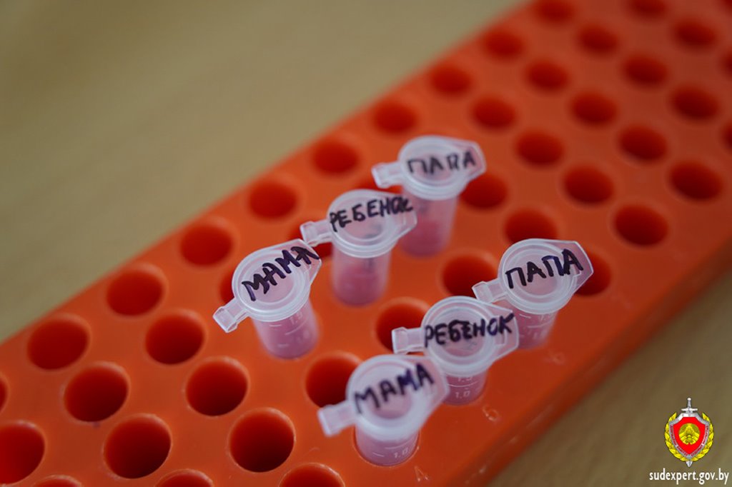 Спустя 17 лет мужчина узнал, что в Беларуси у него возможно есть ребенок