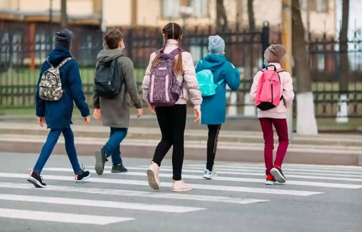 Некому отвести ребёнка в школу. Белорусы поделились своими историями