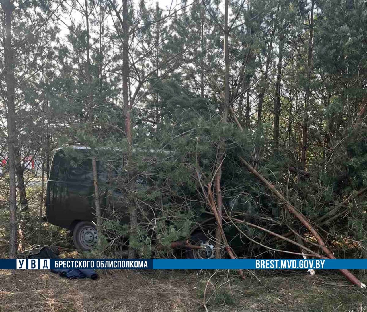 70-летний нетрезвый водитель устроил ДТП в Жабинковском районе