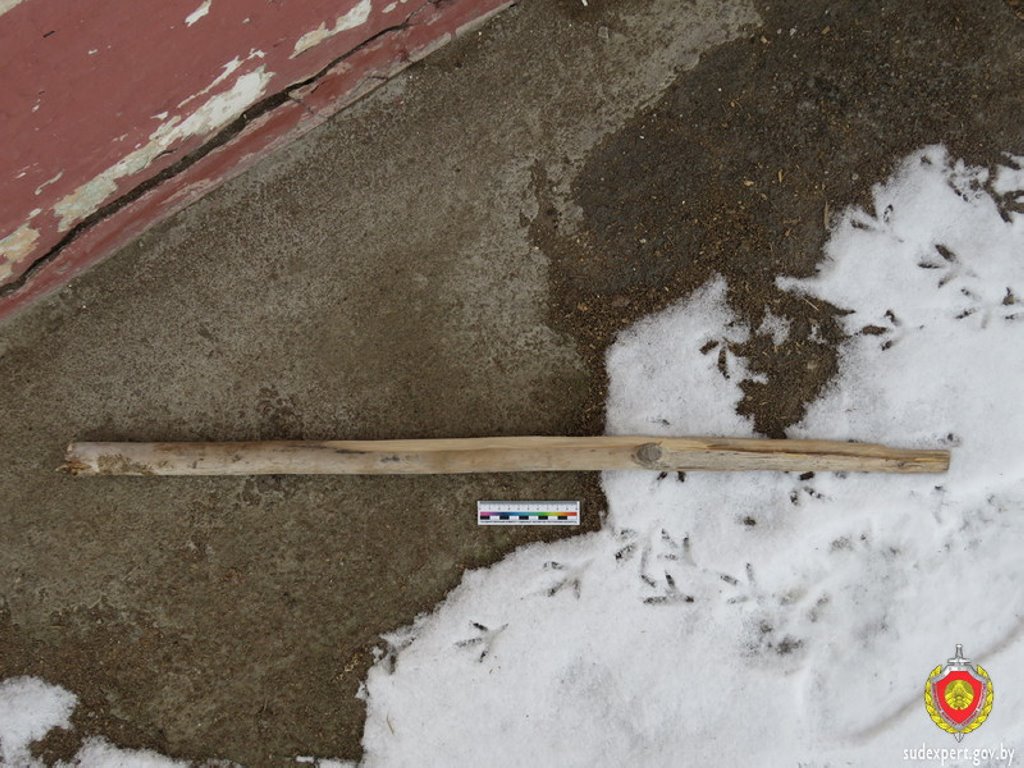 Белорус напоролся на черенок лопаты и погиб