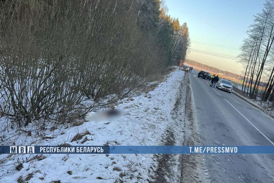 Ужасная трагедия произошла сегодня в Беларуси — в ДТП погибли три человека