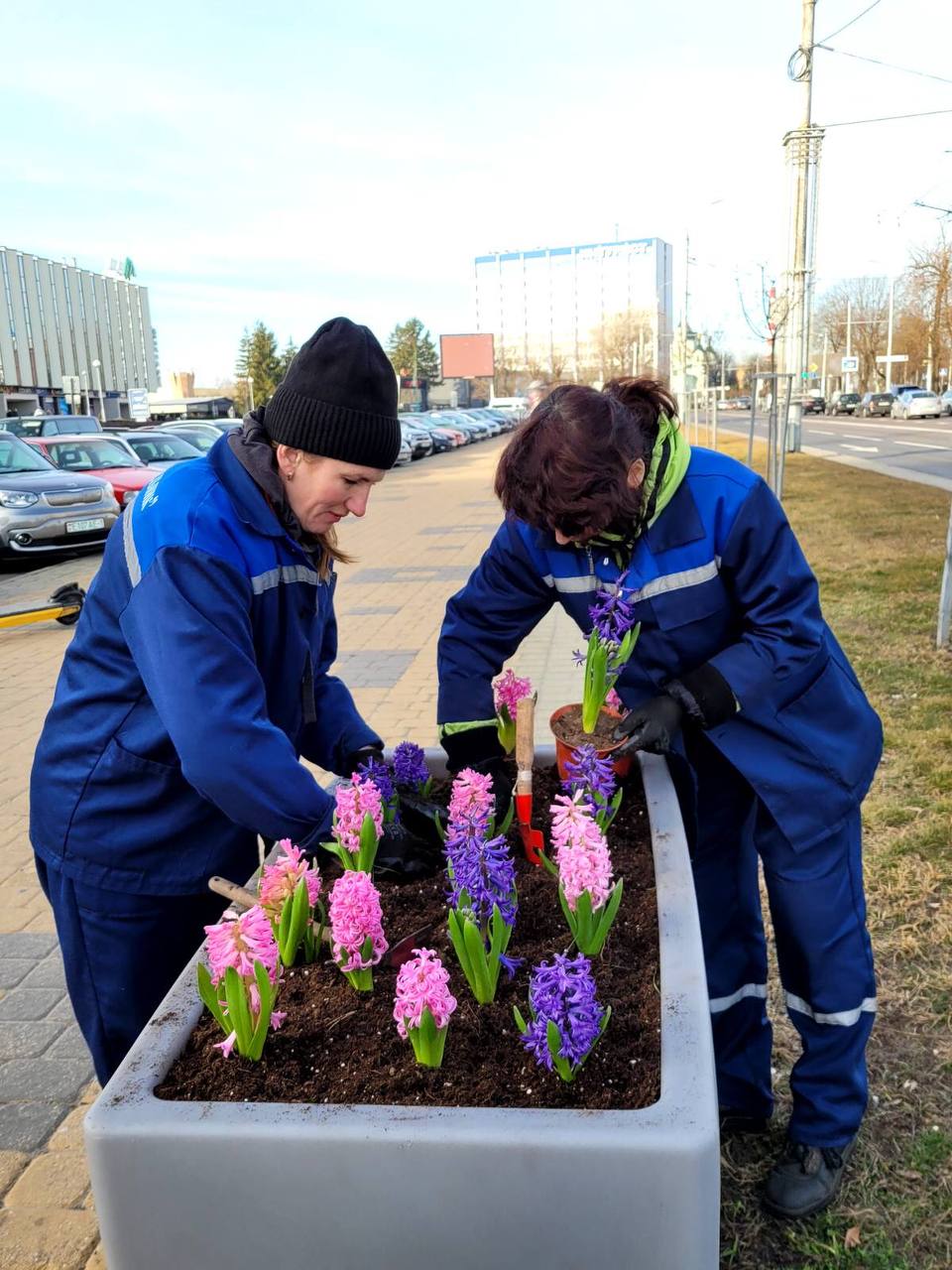 Брест расцветает к 8 Марта