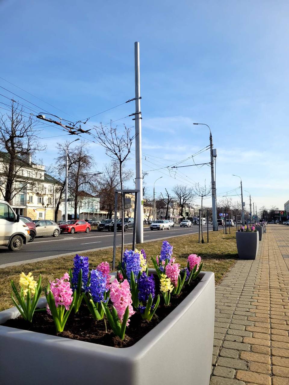 Брест расцветает к 8 Марта