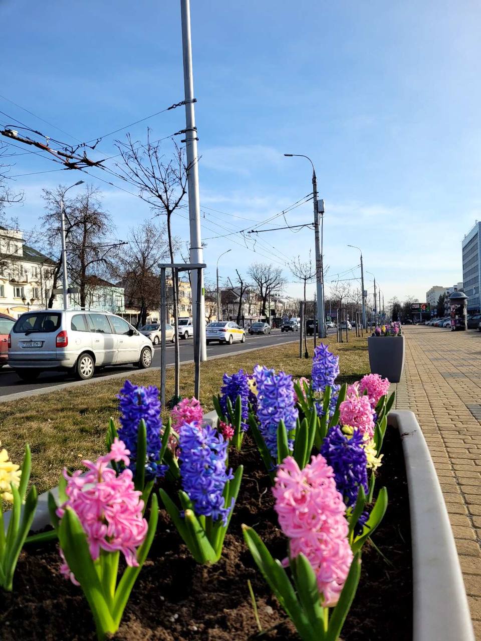 Брест расцветает к 8 Марта