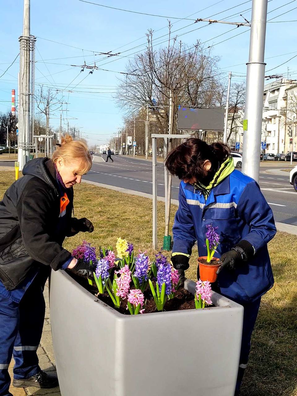 Брест расцветает к 8 Марта