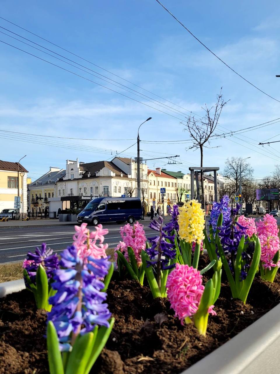 Брест расцветает к 8 Марта