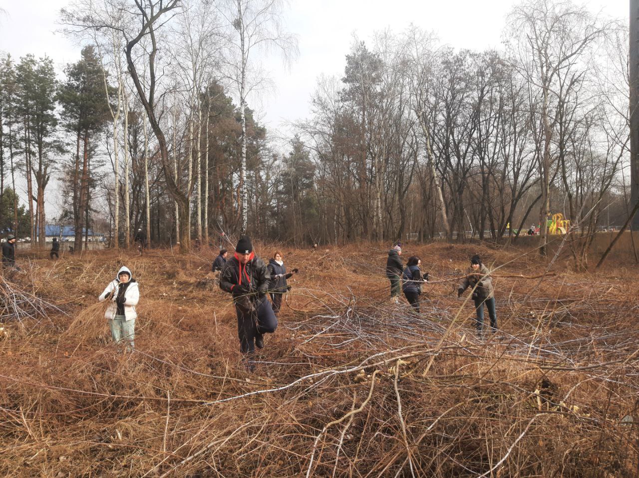 В новом микрорайоне на Лейтенанта Рябцева в Бресте создадут зону отдыха