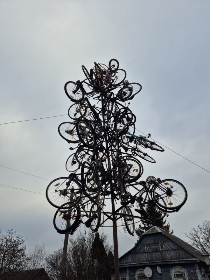 Житель Брестской области украсил свой участок всякой всячиной — посмотрите на это