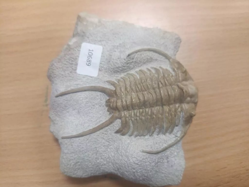 Купил в Бресте — задержали в Тересполе: что нашли у белоруса