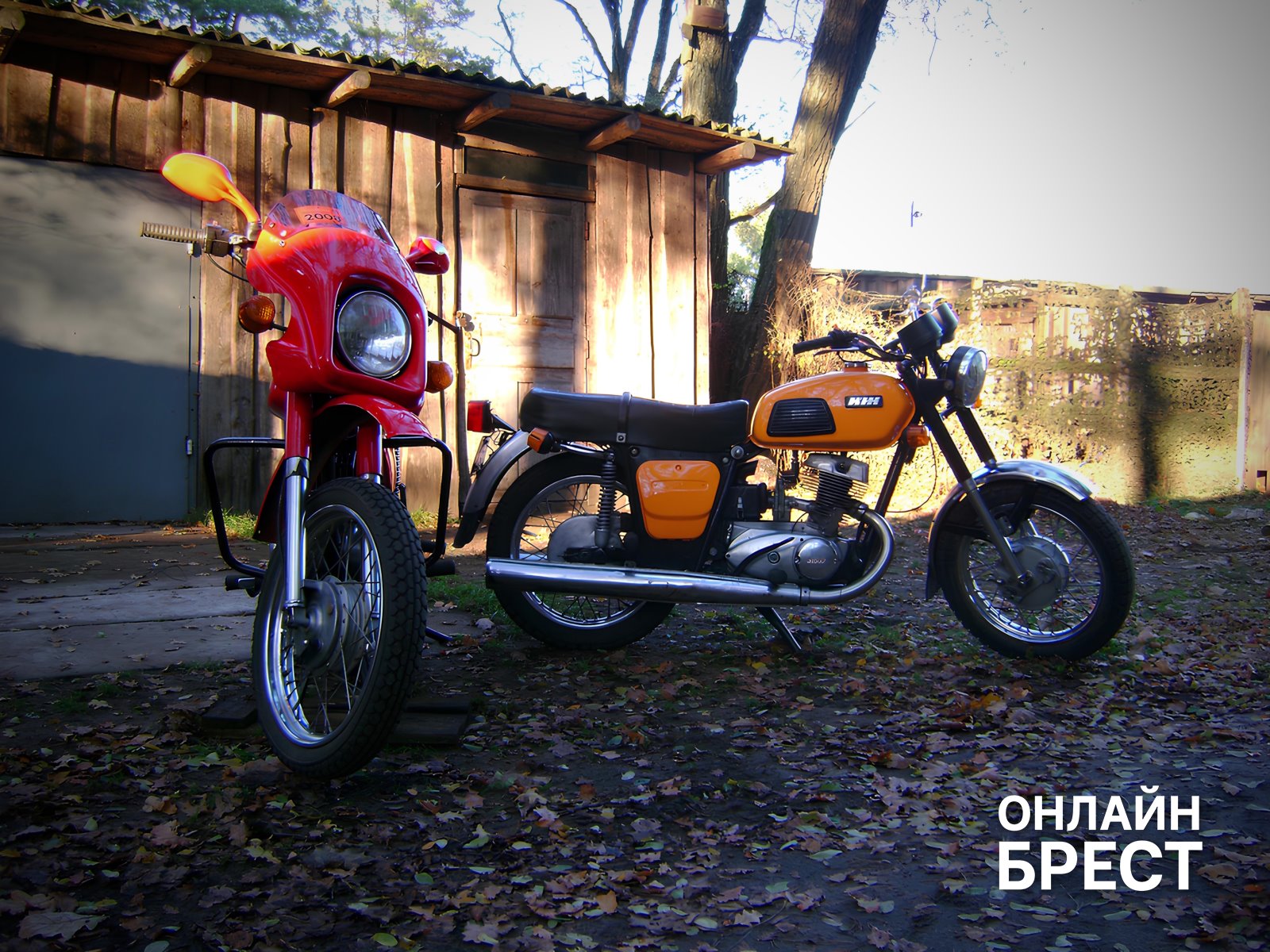 Два брата из Бреста рискнули всем ради своего увлечения