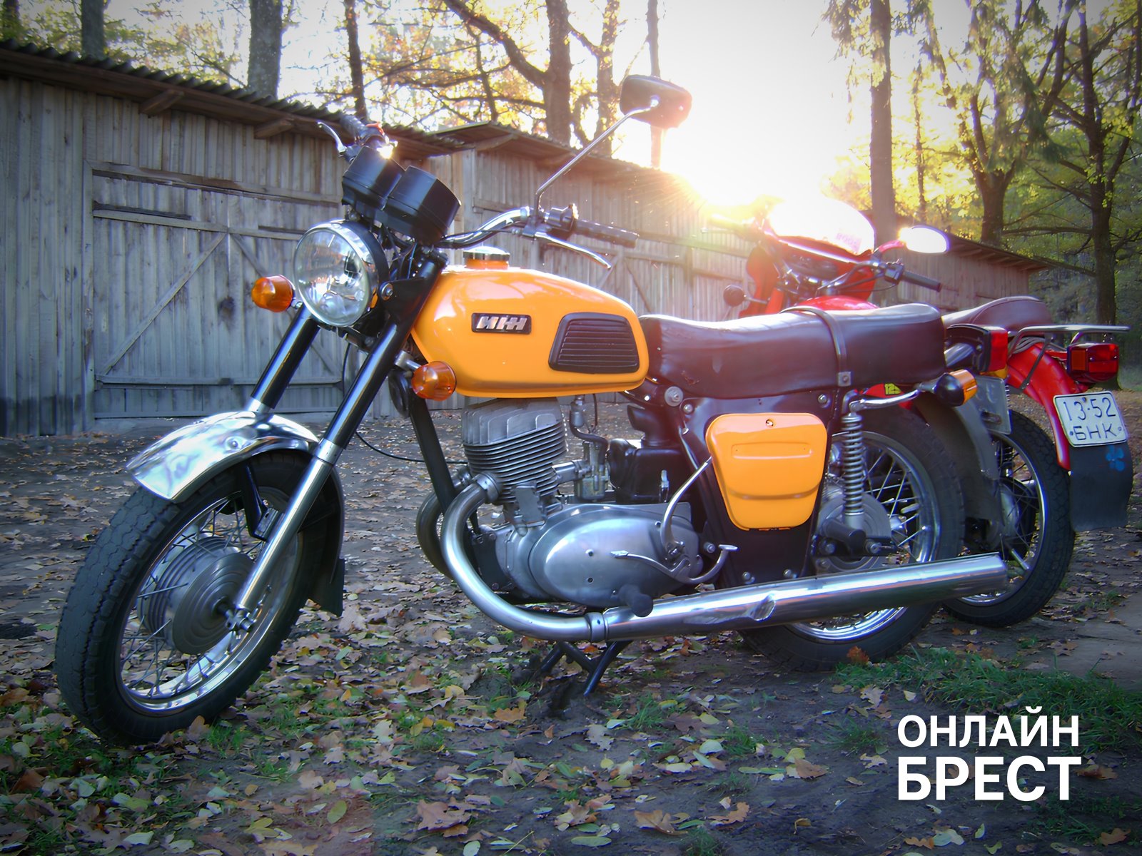 Два брата из Бреста рискнули всем ради своего увлечения