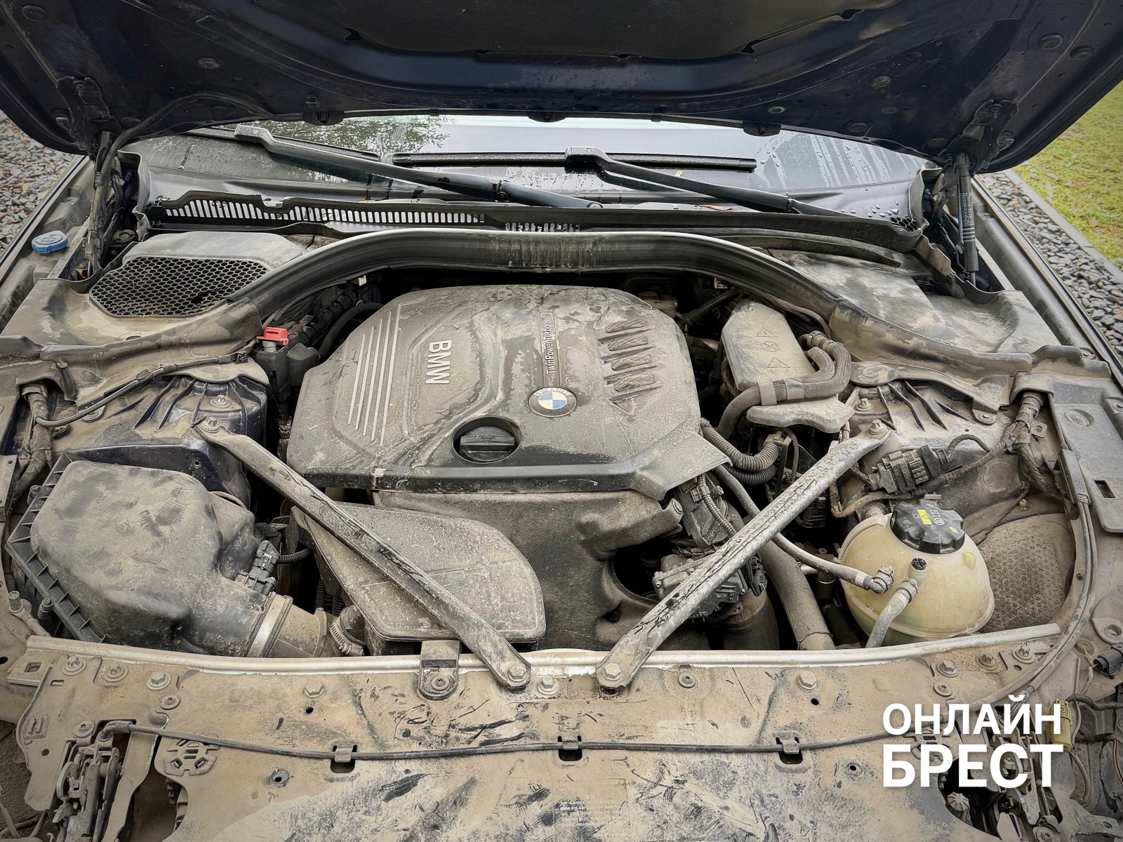 Два брата из Бреста рискнули всем ради своего увлечения