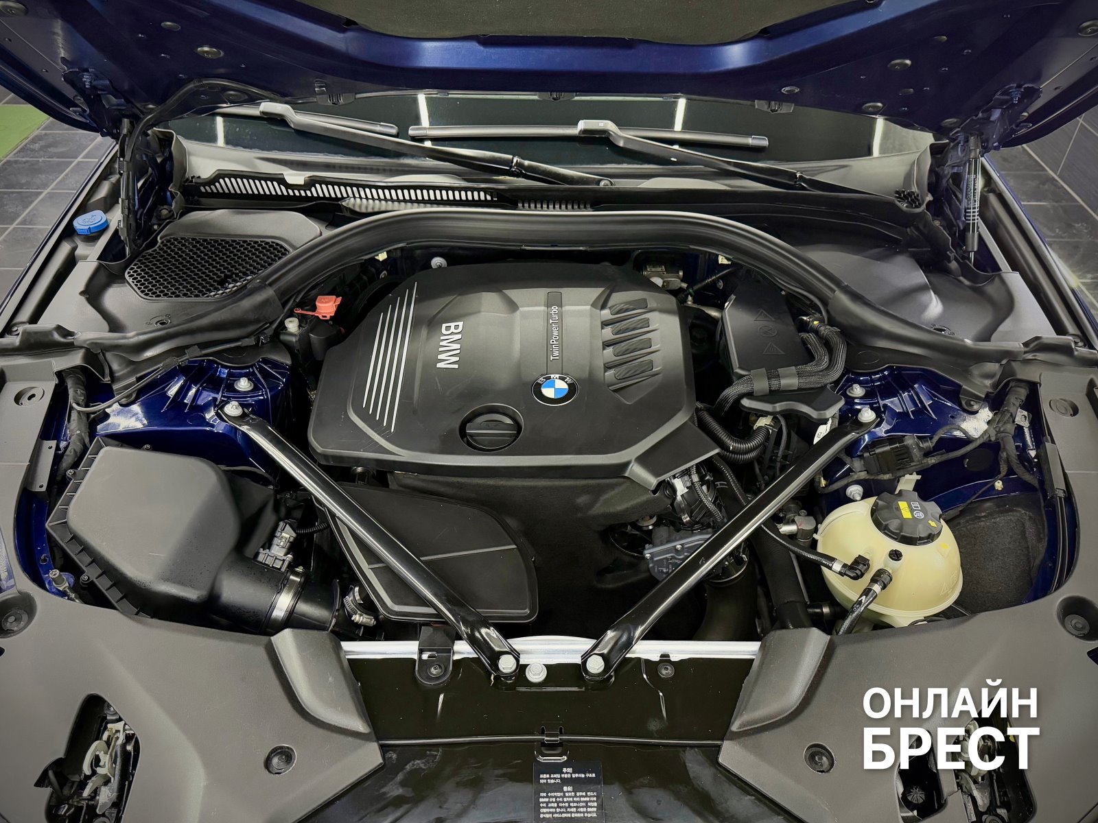 Два брата из Бреста рискнули всем ради своего увлечения