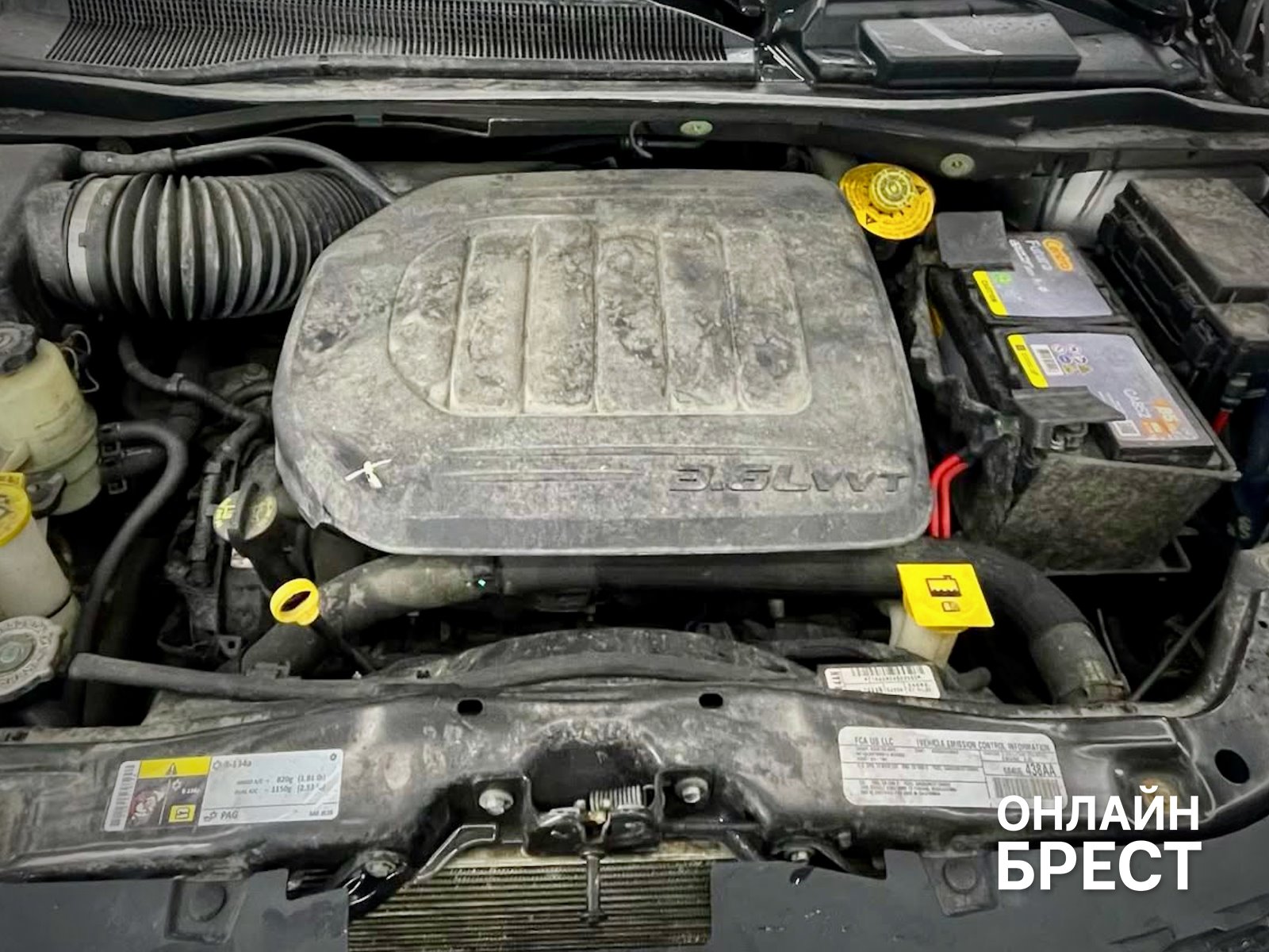 Два брата из Бреста рискнули всем ради своего увлечения