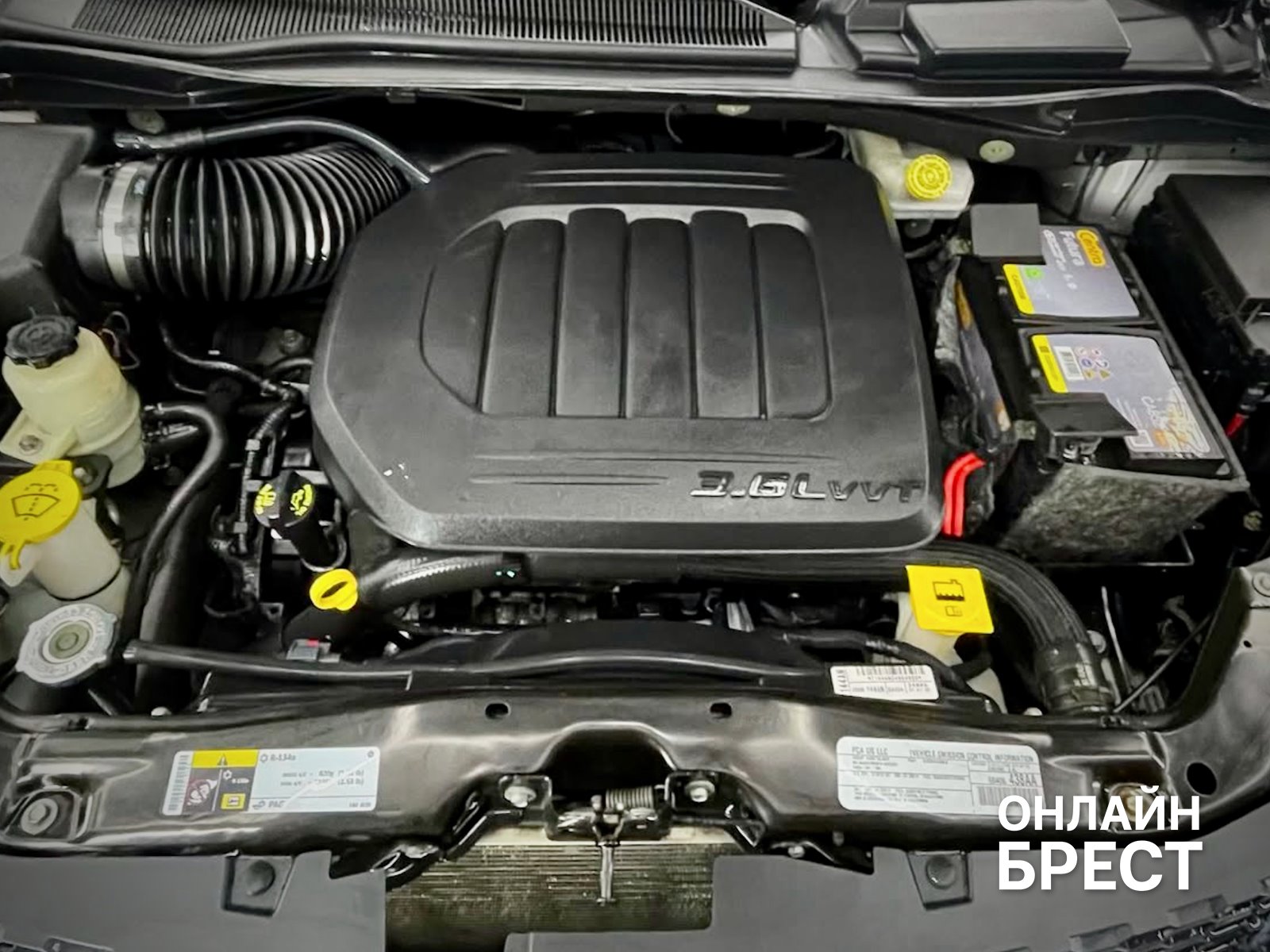 Два брата из Бреста рискнули всем ради своего увлечения