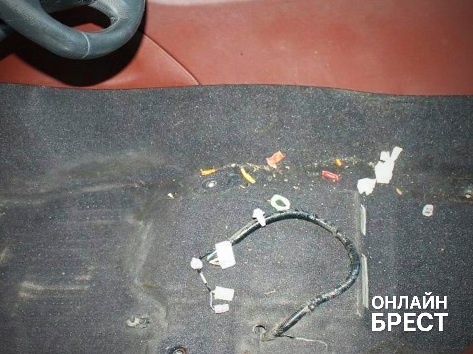 Два брата из Бреста рискнули всем ради своего увлечения