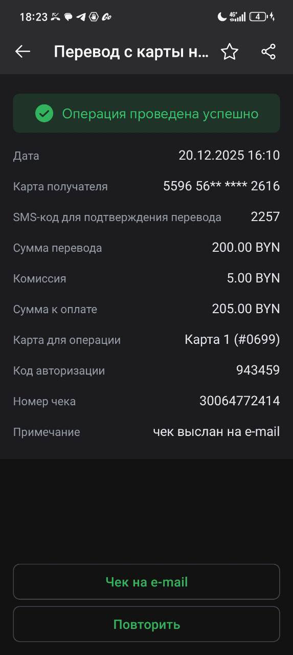 «Привлекательная собеседница» попросила интимные фото, а затем начался шантаж. История белоруса