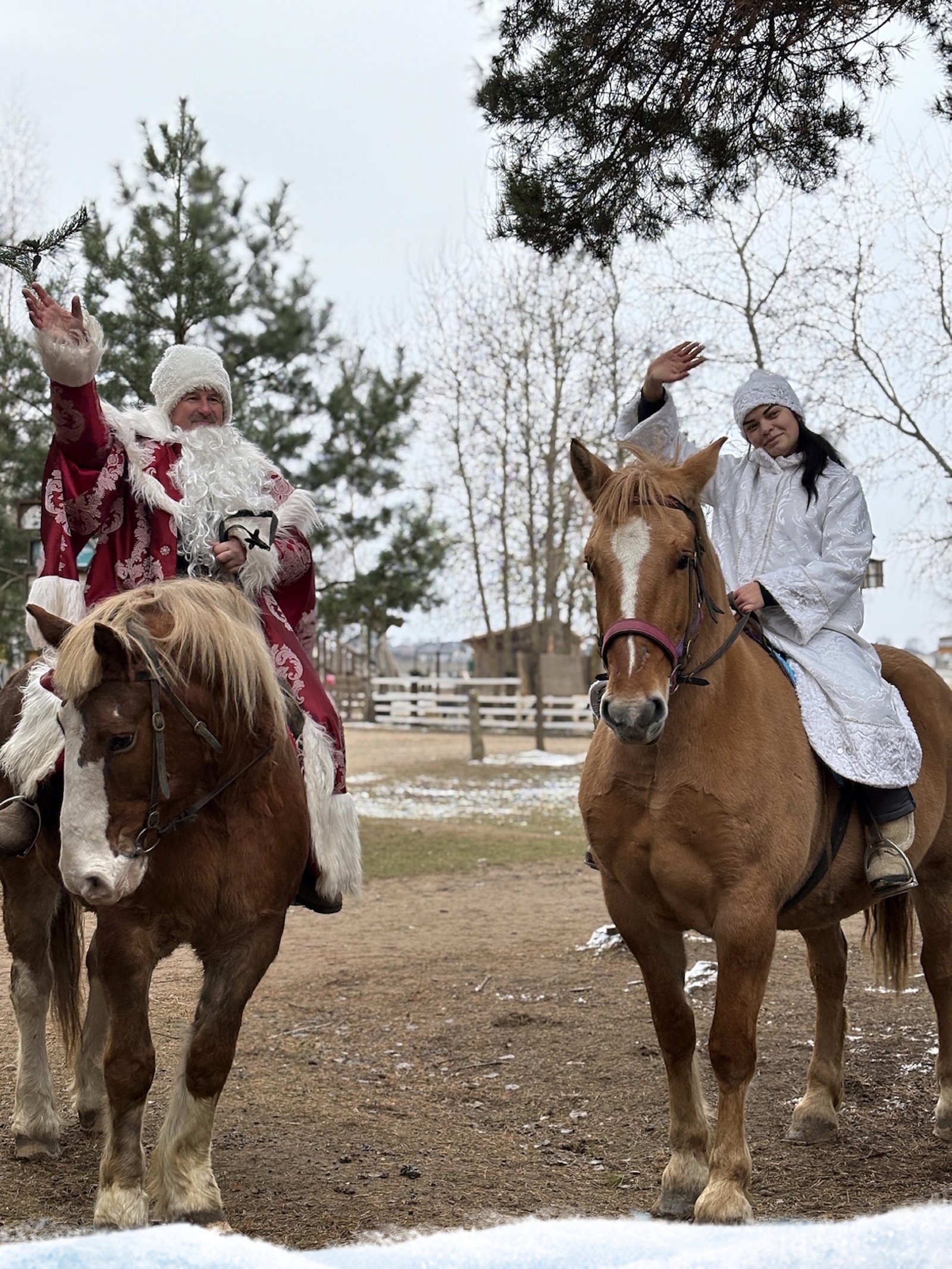 Новогодняя сказка в Парке Животных: Двойное волшебство для брестчан!