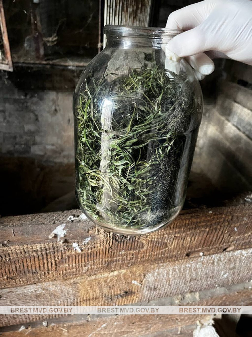 Житель Пружанского района задержан за хранение марихуаны