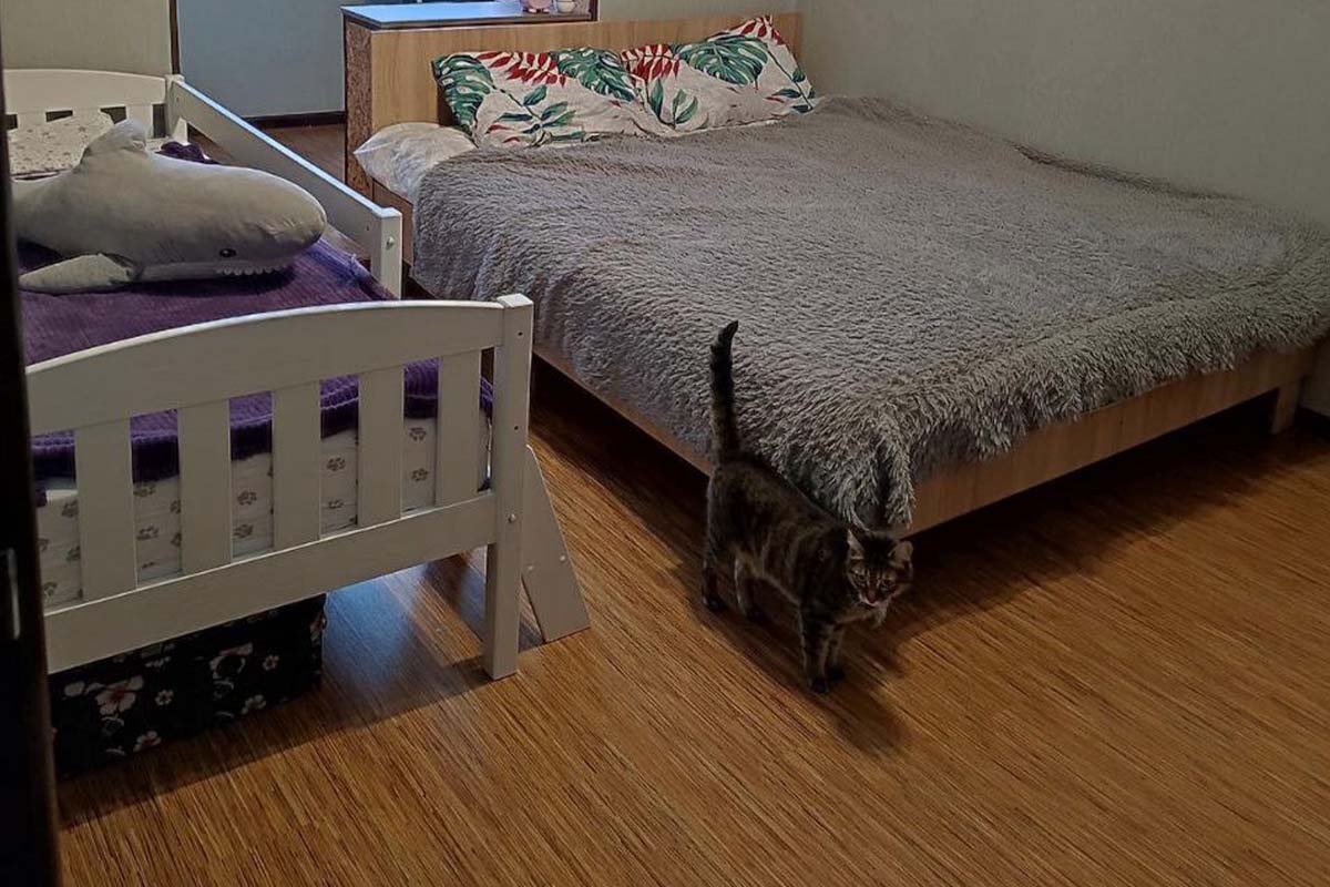 Молодая семья переехала в Брест и рассказала, как им удалось купить квартиру в рассрочку