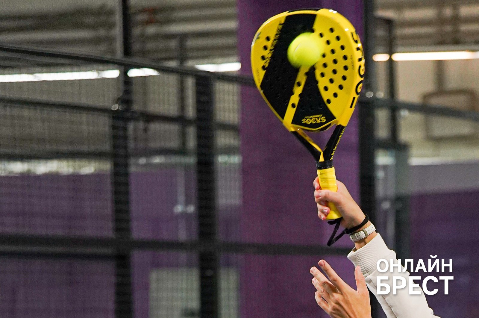 В Бресте открылся первый клуб для игры в модный падел-теннис со стеклянными кортами PADEL BAZA!