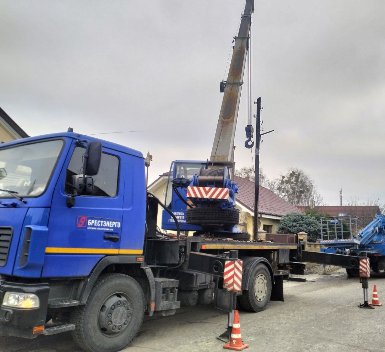 В Бресте энергетики нашли дупло дятла в опоре ЛЭП