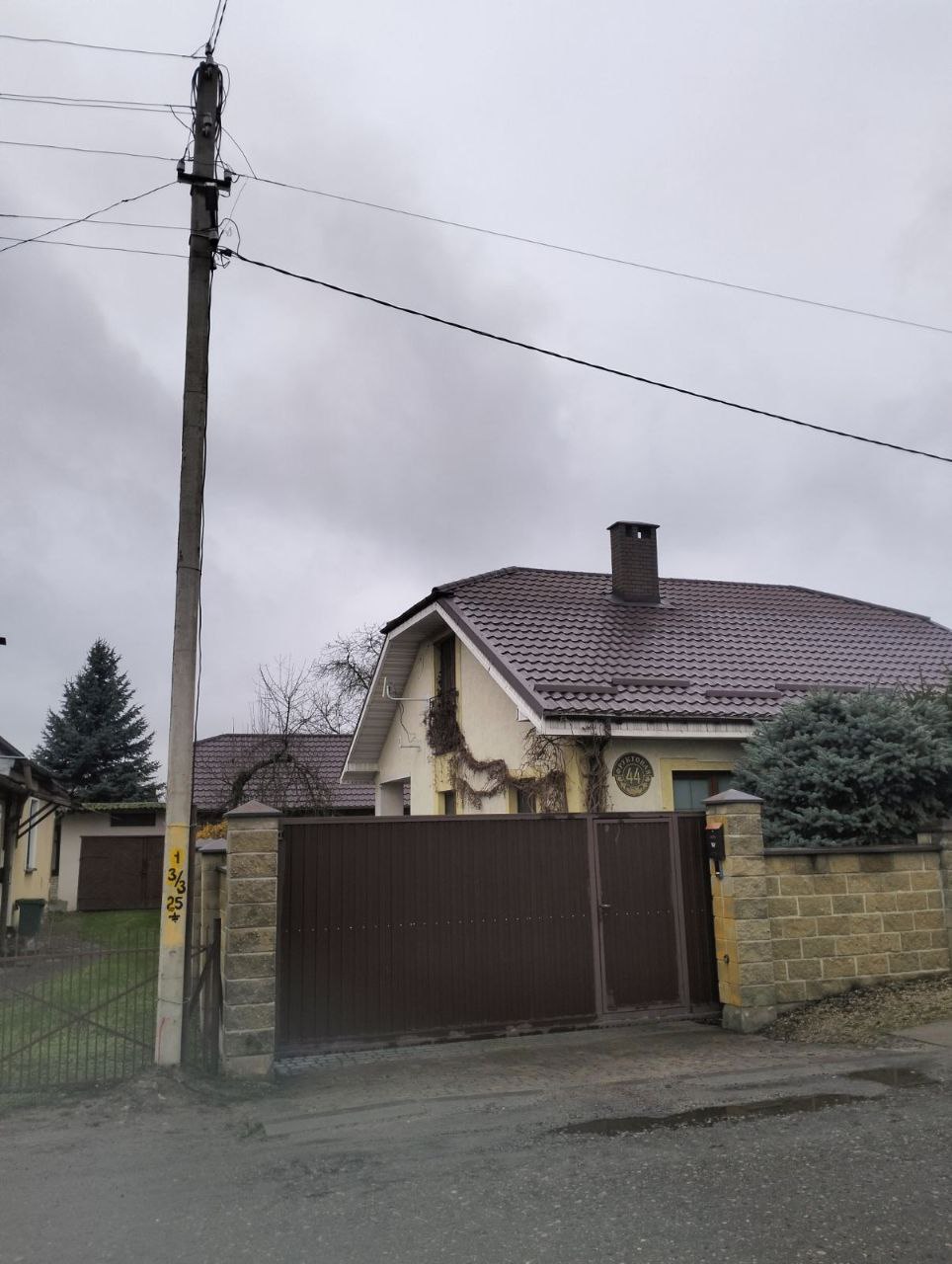 В Бресте энергетики нашли дупло дятла в опоре ЛЭП