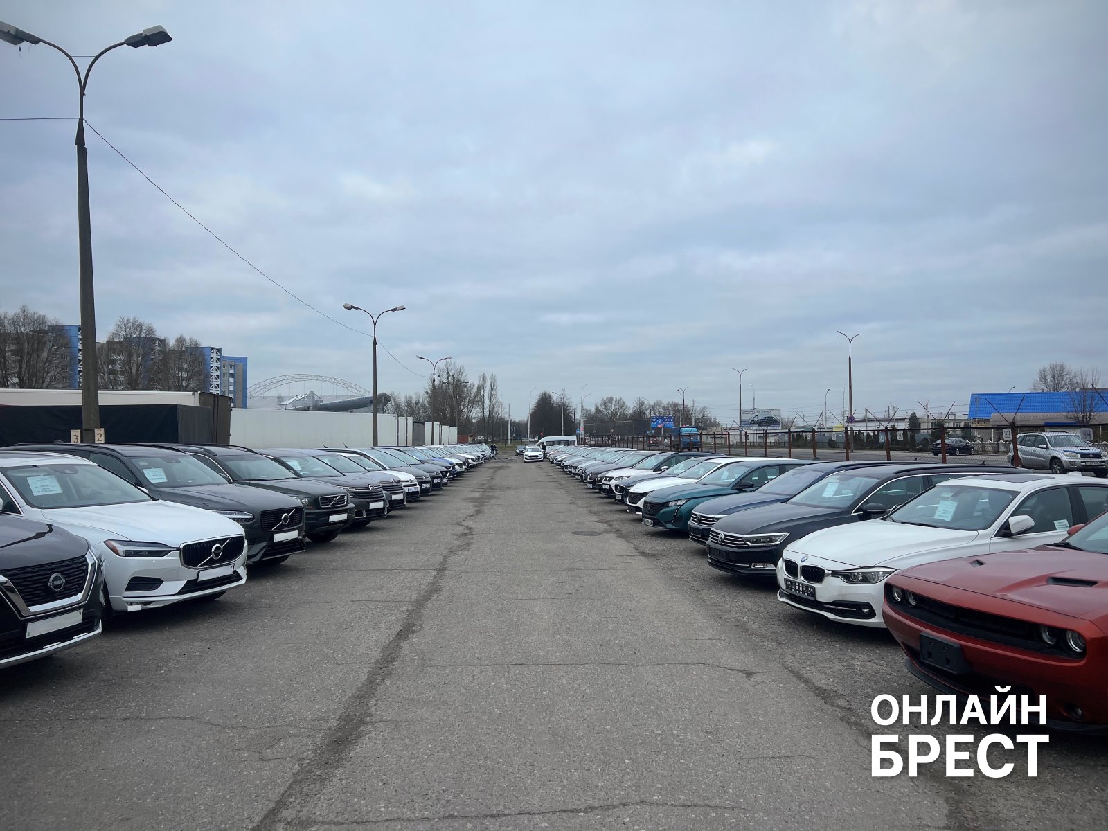 100 авто в 27 лет: история автоплощадки GrandAuto Brest от создателя Алексея