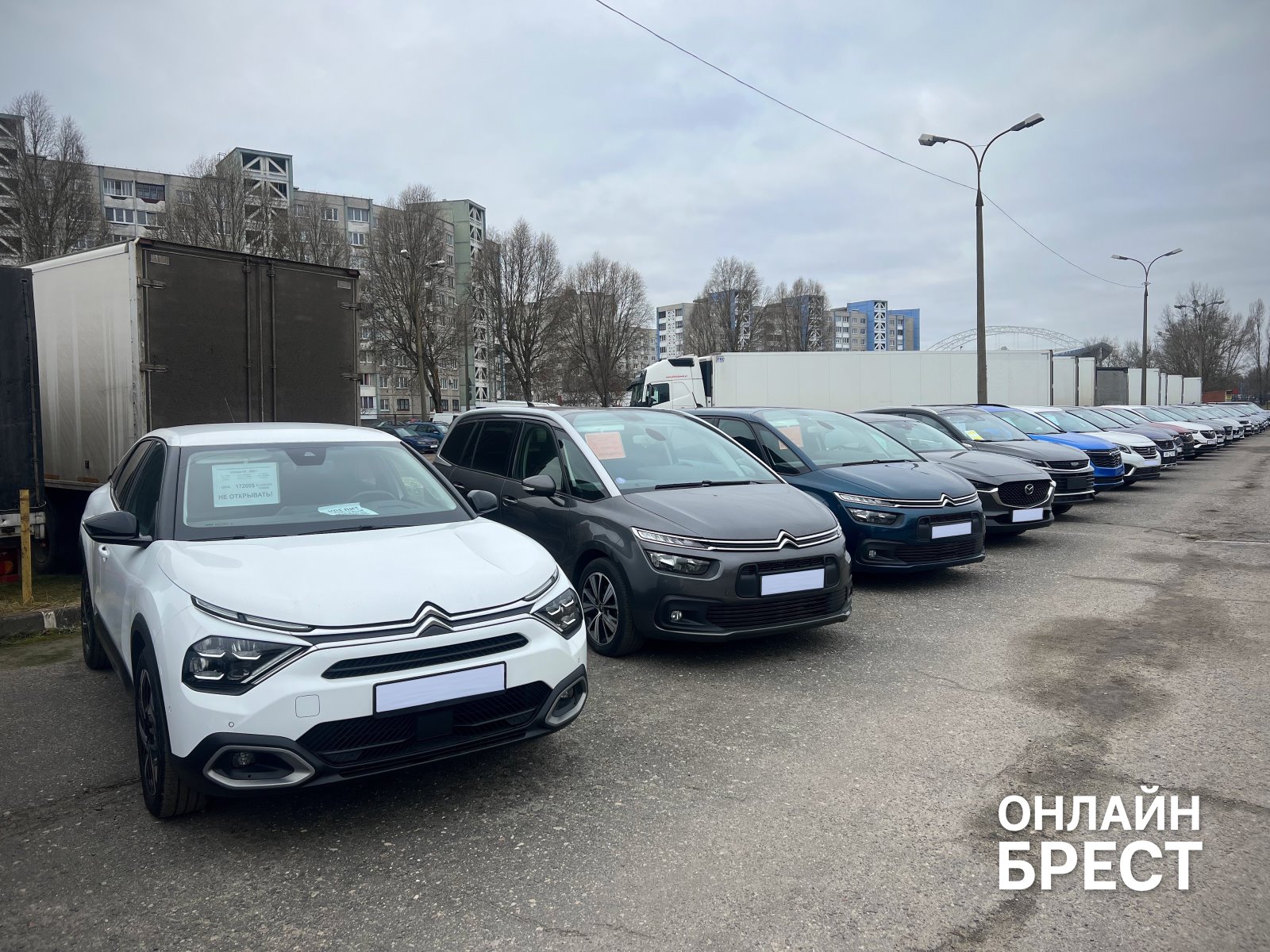 100 авто в 27 лет: история автоплощадки GrandAuto Brest от создателя Алексея