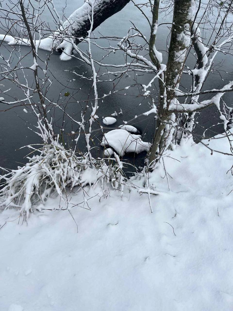 В Каменецком районе в реке обнаружено тело мужчины