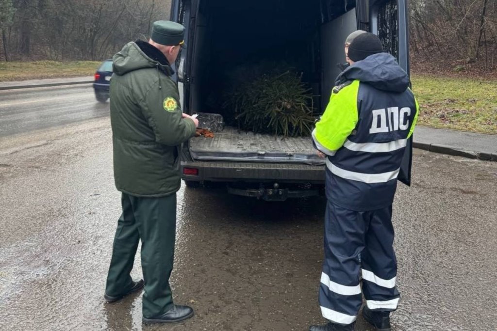 ГАИ и гослесохрана начнут совместные рейды на дорогах — что проверят?