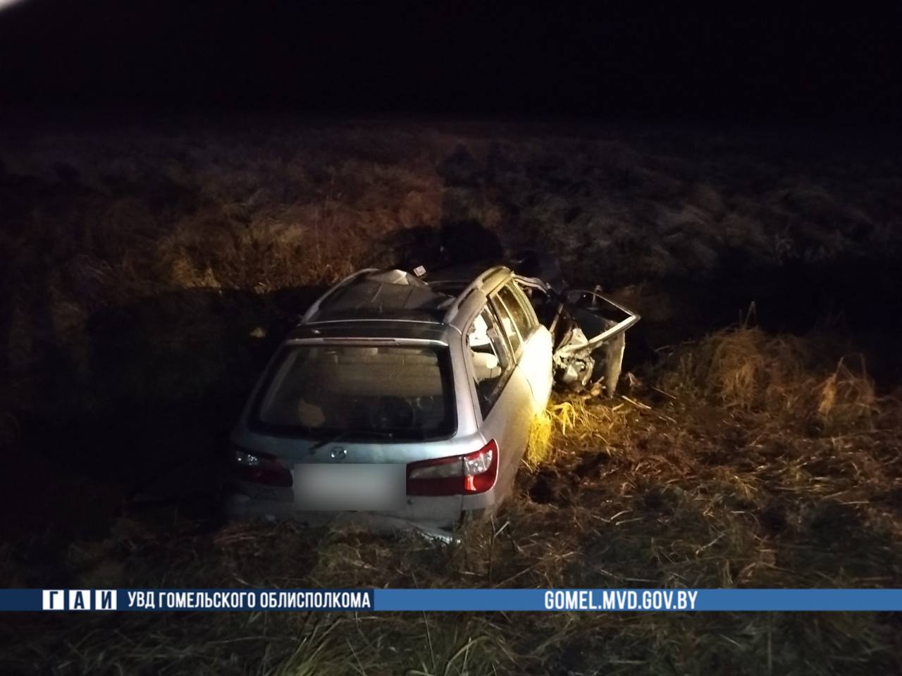 Лось выбежал на трассу: молодые парни погибли в ДТП