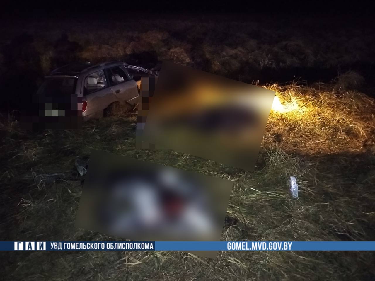 Лось выбежал на трассу: молодые парни погибли в ДТП