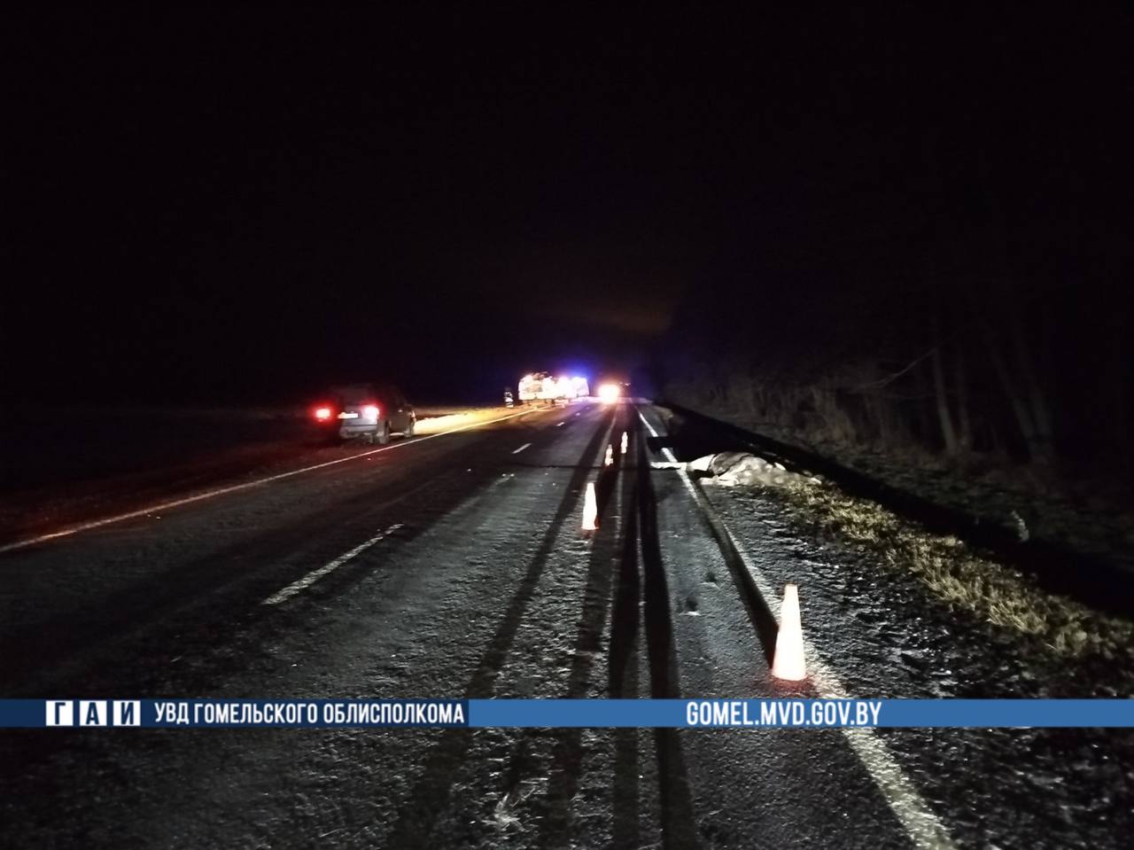 Лось выбежал на трассу: молодые парни погибли в ДТП