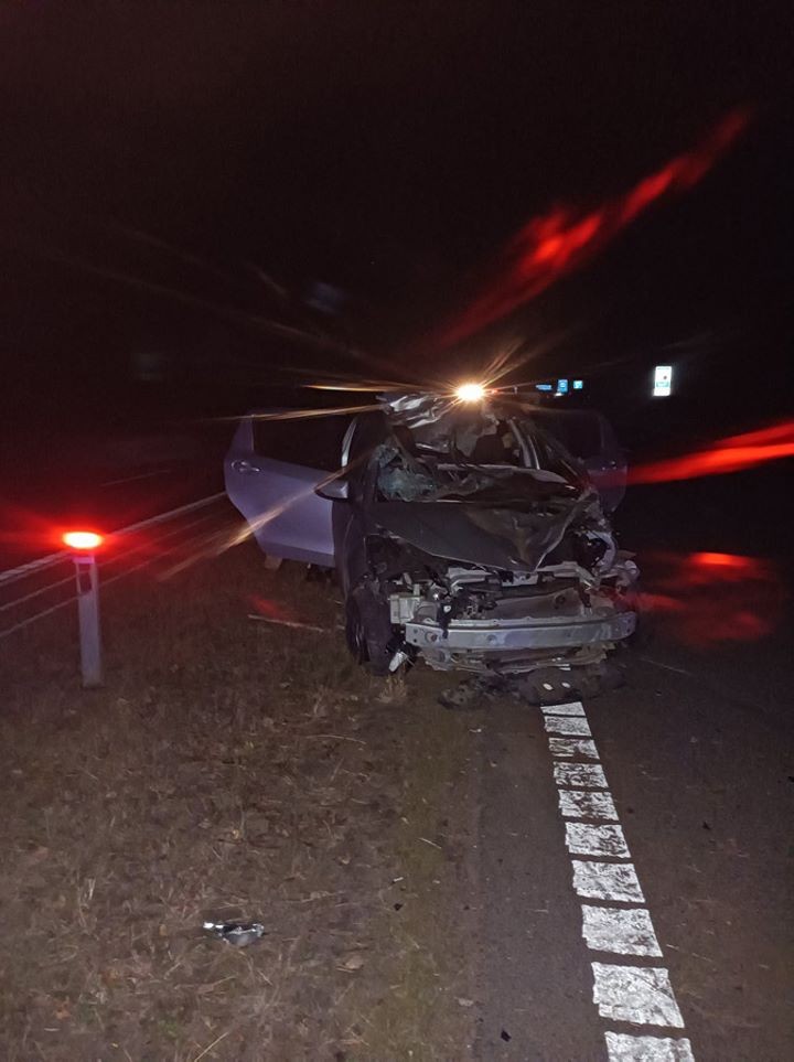 На трассе М5 серьезная авария из-за лося