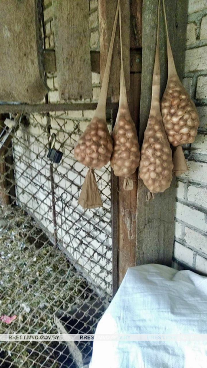 У пенсионерки украли туи, лук и... индюков. Случай в Брестской области