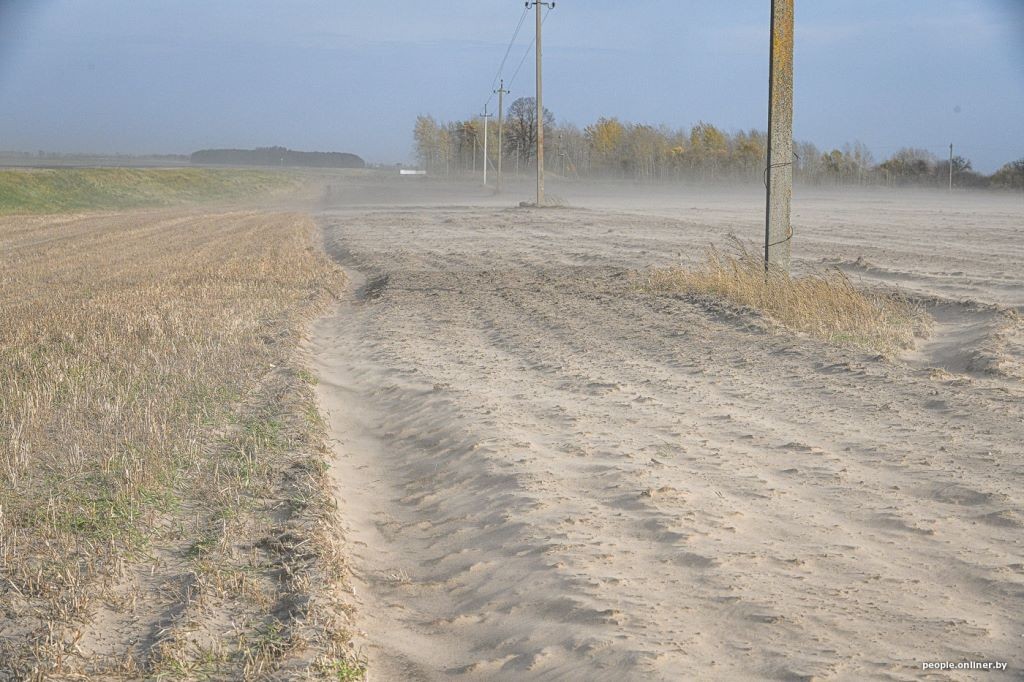 Буря в пустыне: как Полесье зарастает барханами