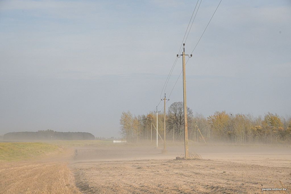 Буря в пустыне: как Полесье зарастает барханами