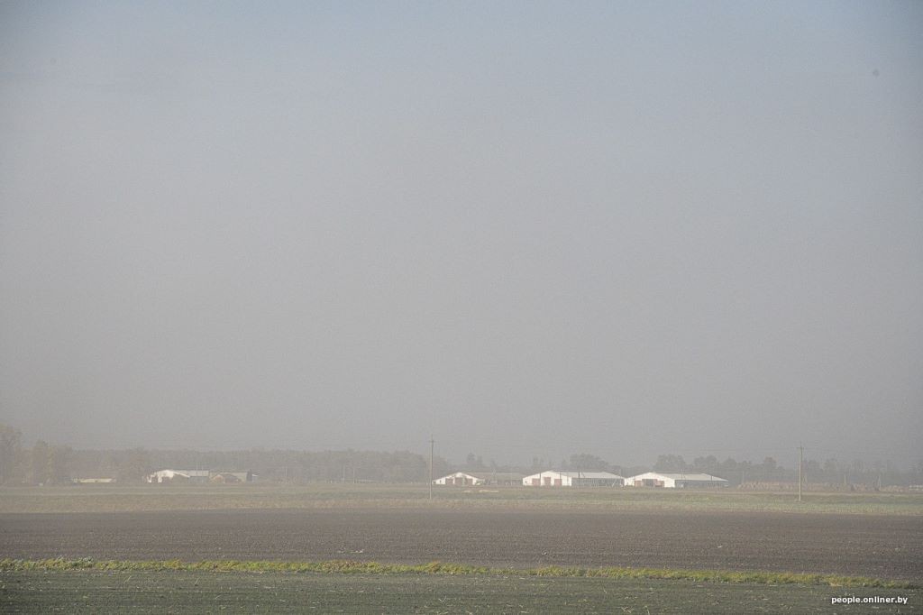 Буря в пустыне: как Полесье зарастает барханами