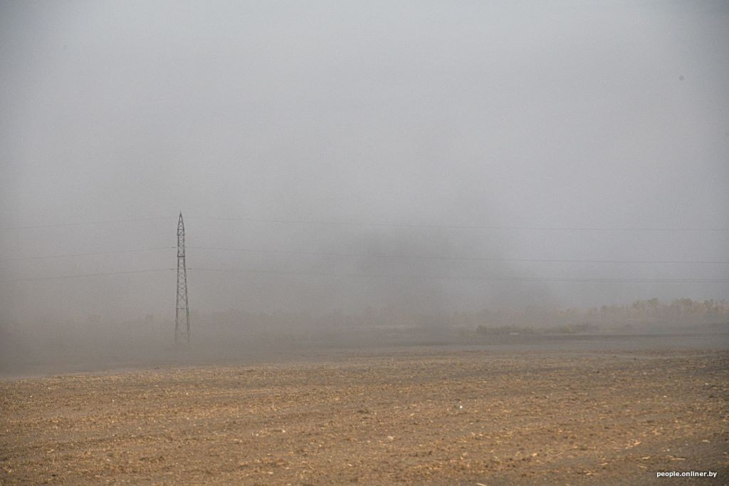 Буря в пустыне: как Полесье зарастает барханами