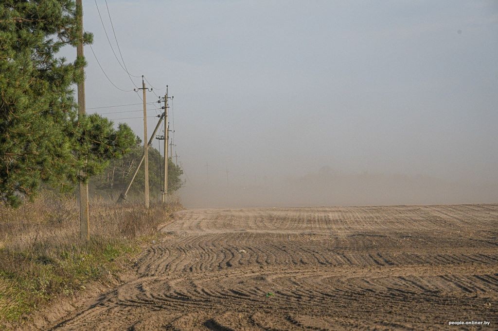 Буря в пустыне: как Полесье зарастает барханами