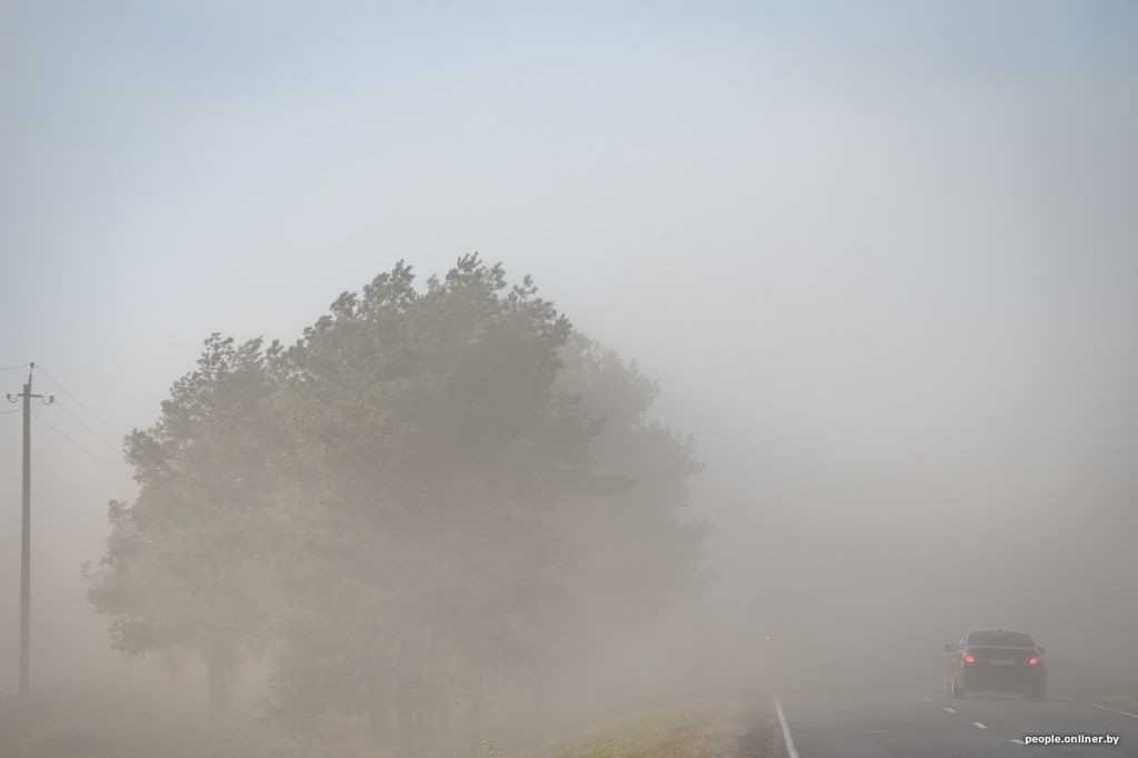 Буря в пустыне: как Полесье зарастает барханами