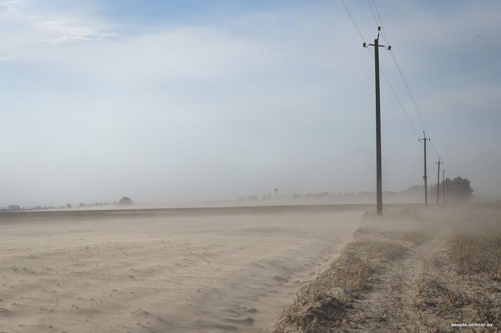 Буря в пустыне: как Полесье зарастает барханами
