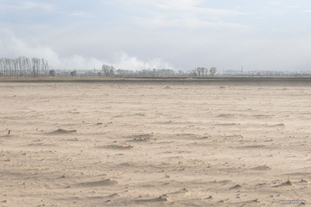 Буря в пустыне: как Полесье зарастает барханами