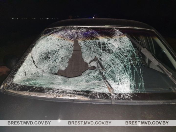 В Брестской области водитель «Киа» насмерть сбил пешехода